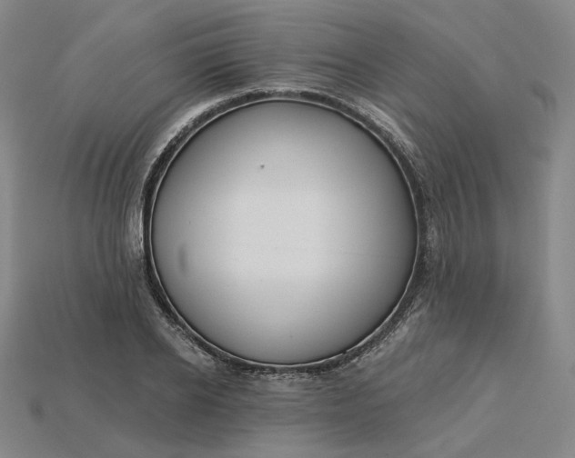 X0000115250934200911131721