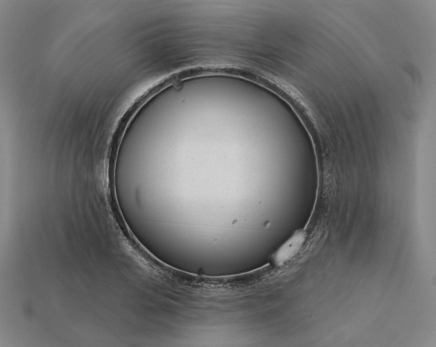 X0000115250935200911131721