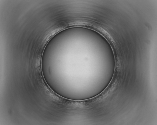 X0000115250937200911131721