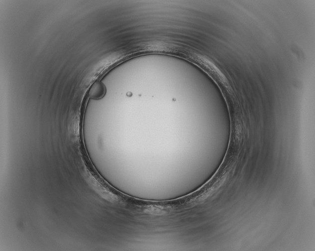 X0000115250938200911131721