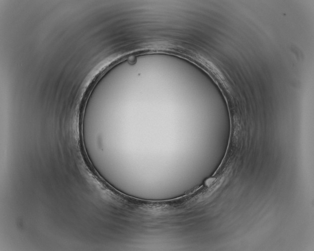 X0000115250939200911131721