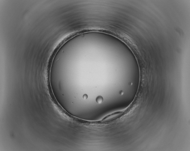 X0000115250942200911131721