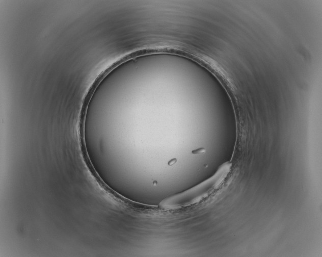 X0000115250943200911131721