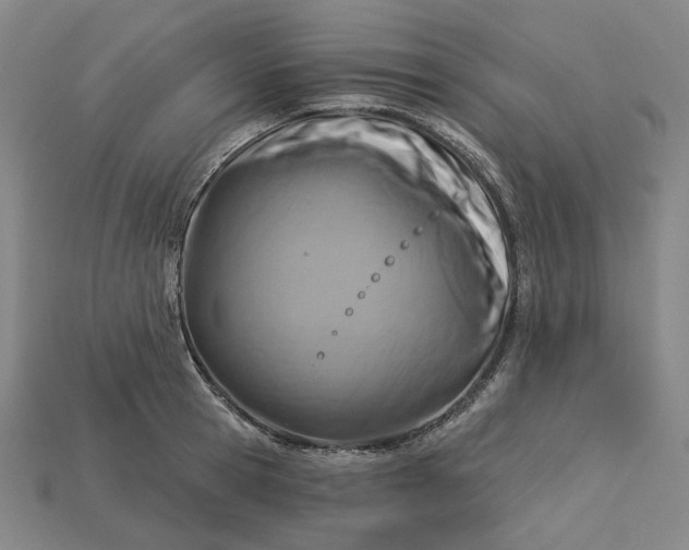 X0000115250945200911131721