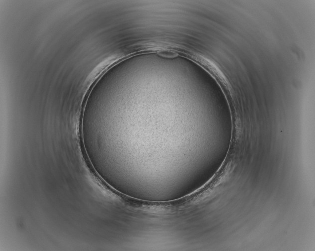 X0000115250946200911131721