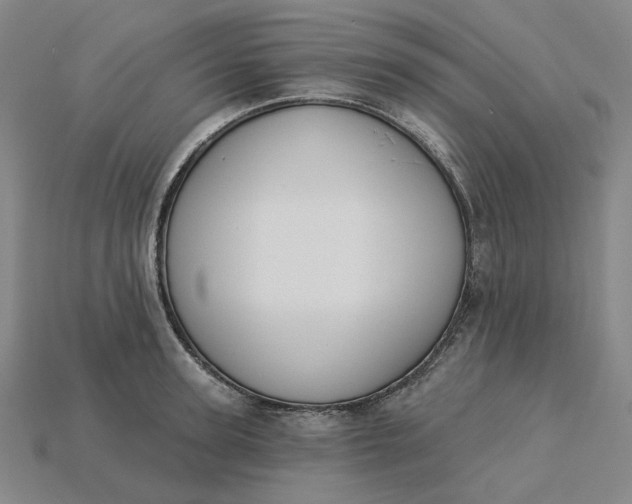 X0000115250947200911131721