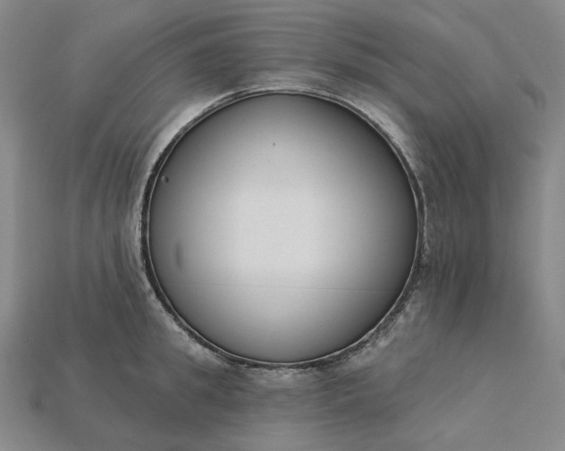 X0000115250949200911131721