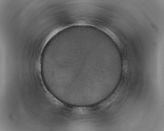 X0000115250950200911131721