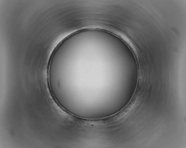 X0000115250951200911131721