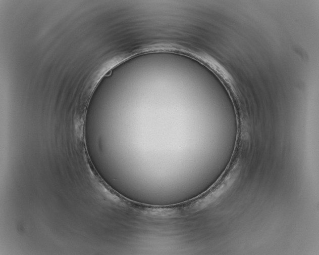 X0000115250953200911131721