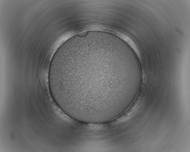 X0000115250954200911131721