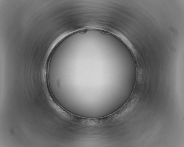 X0000115250955200911131721