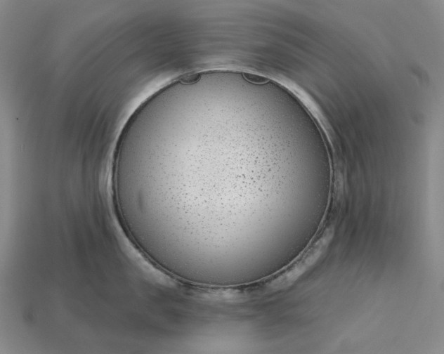 X0000115250957200911131722