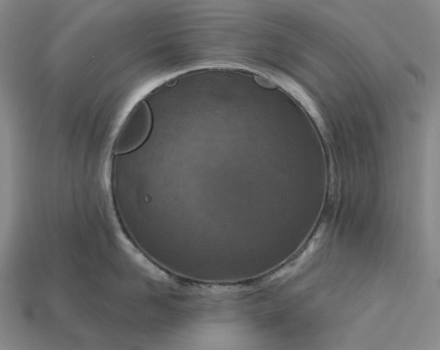 X0000115250958200911131722