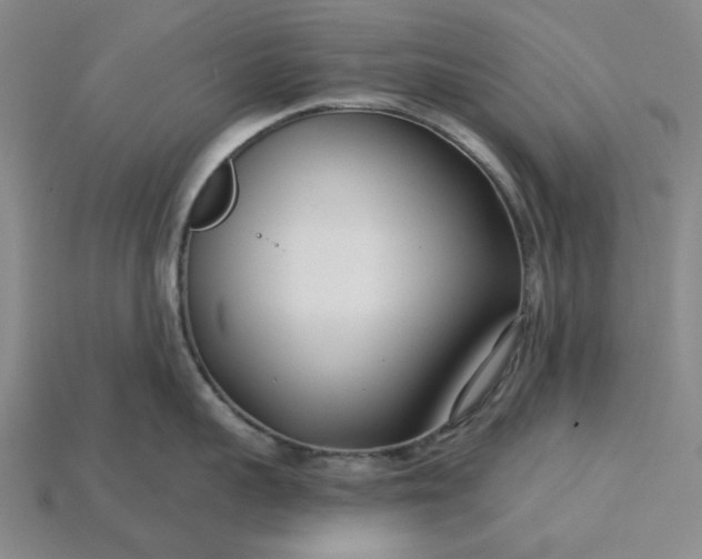 X0000115250959200911131722