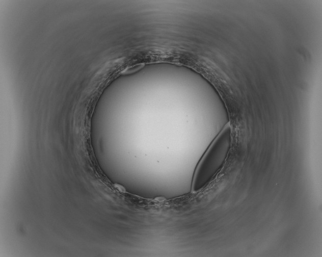 X0000115250961200911131721