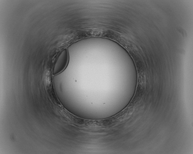 X0000115250962200911131721