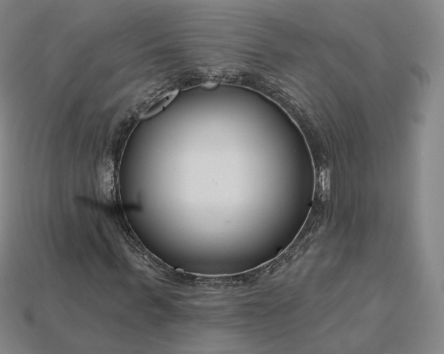 X0000115250963200911131721