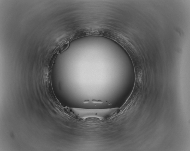 X0000115250964200911131721