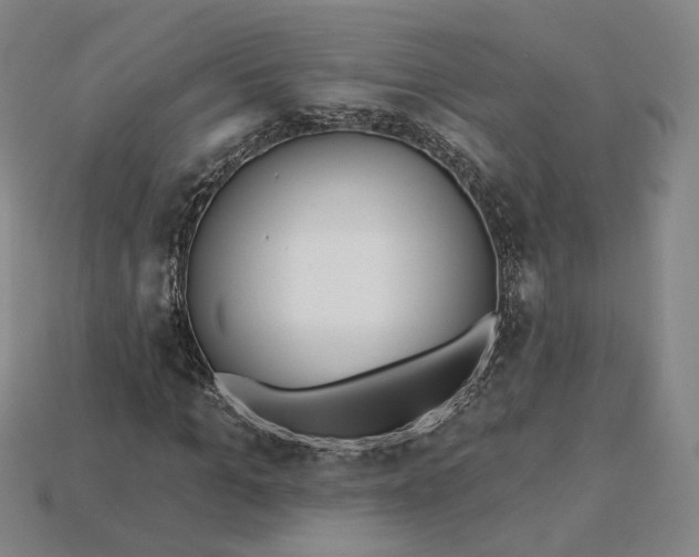 X0000115250965200911131721