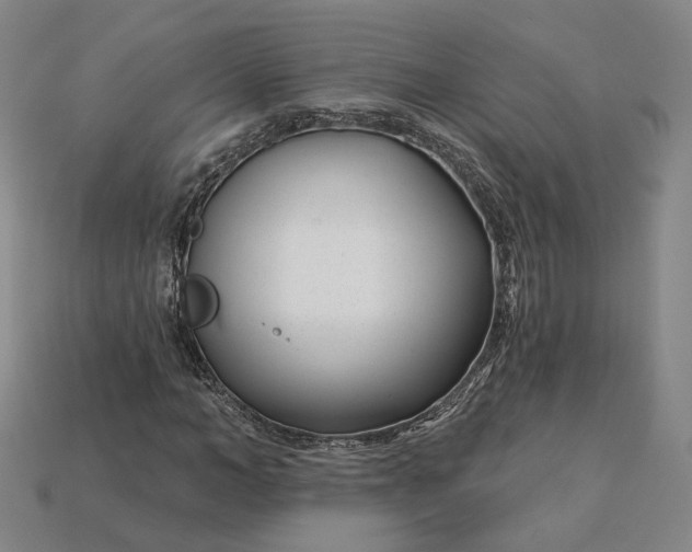 X0000115250966200911131721