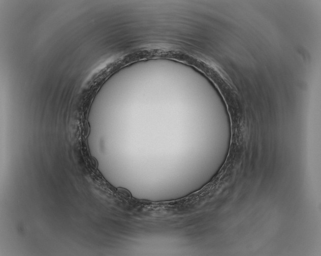 X0000115250967200911131721