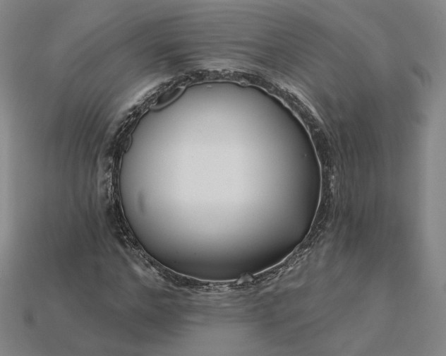 X0000115250968200911131721