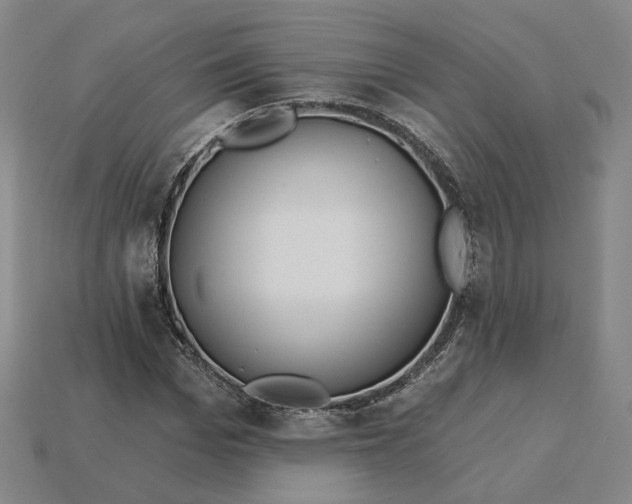 X0000115250969200911131721