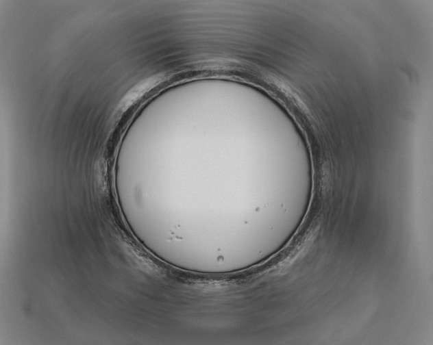 X0000115250970200911131721