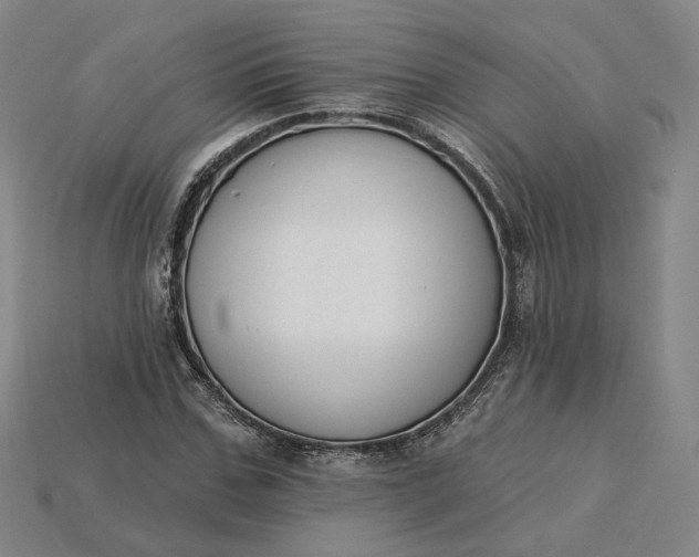 X0000115250971200911131721