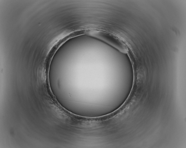 X0000115250973200911131721