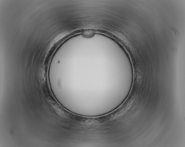 X0000115250974200911131721