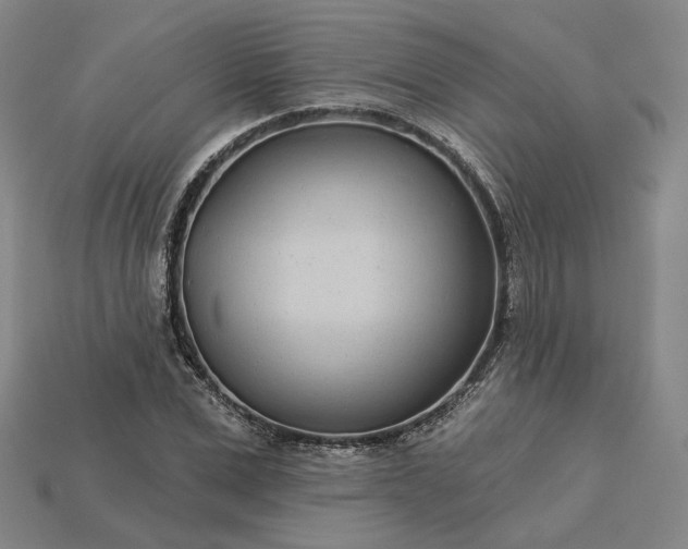 X0000115250975200911131721