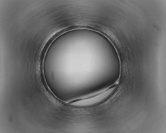 X0000115250976200911131721