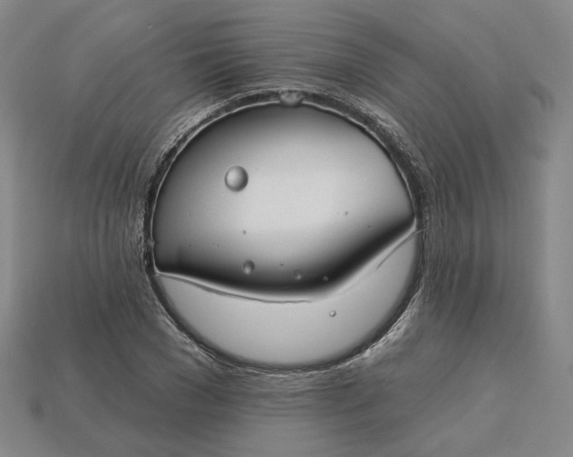 X0000115250977200911131721