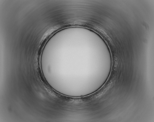 X0000115250978200911131721