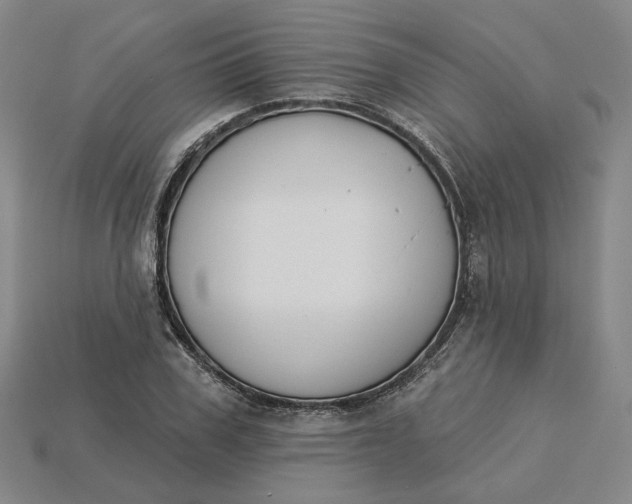 X0000115250979200911131721