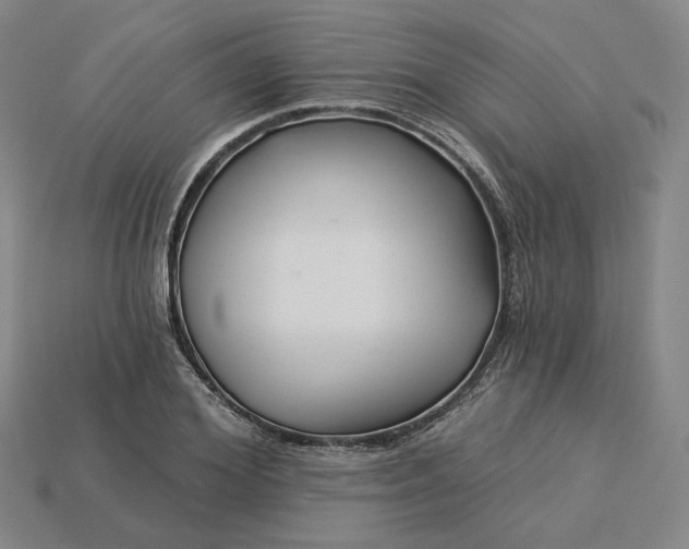 X0000115250980200911131721