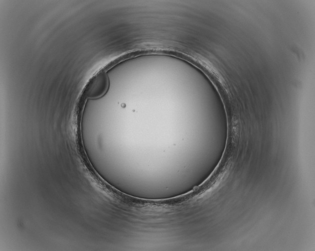 X0000115250981200911131721