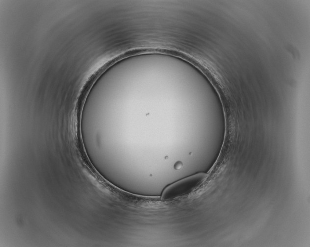 X0000115250982200911131721