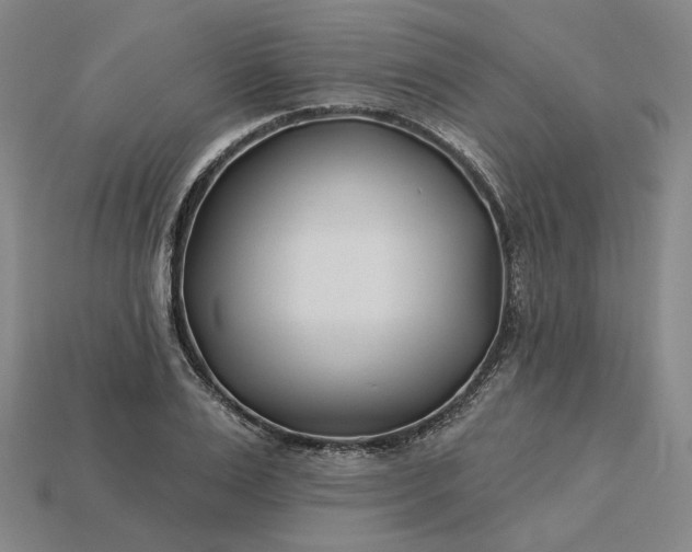 X0000115250983200911131721