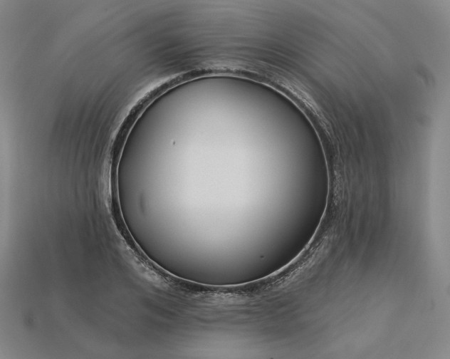 X0000115250984200911131721