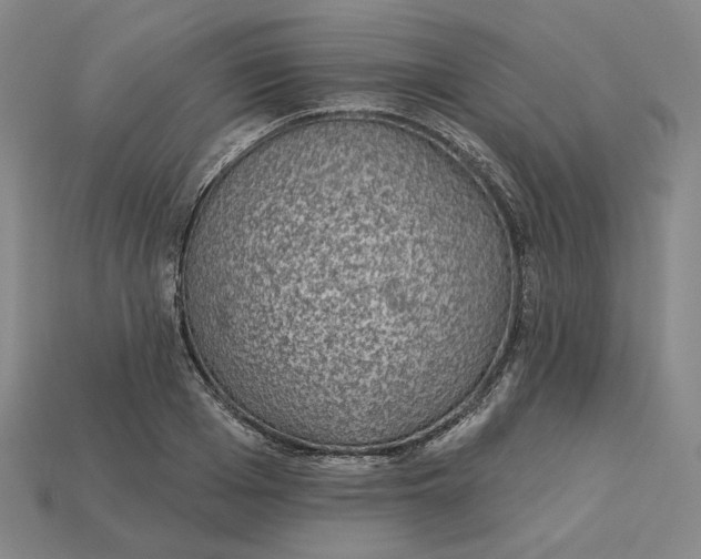 X0000115250985200911131721