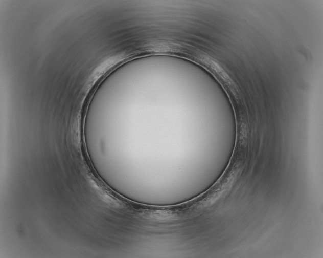 X0000115250986200911131721