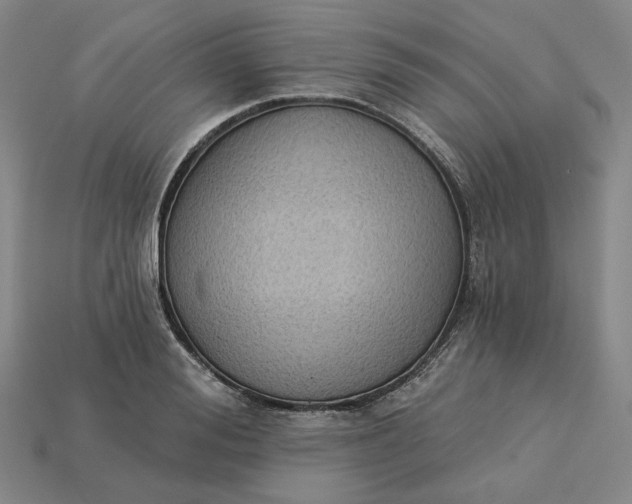 X0000115250988200911131721