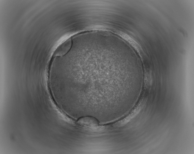 X0000115250989200911131721