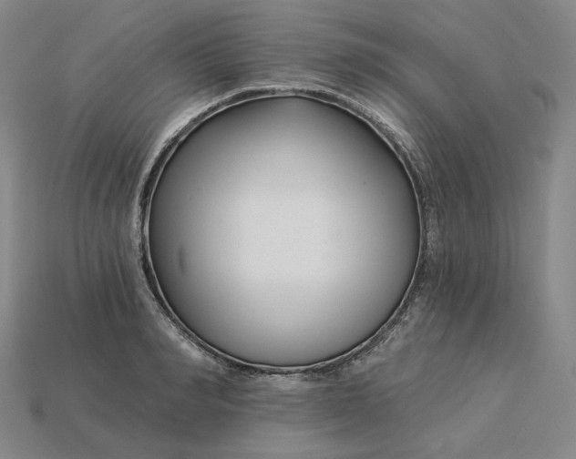 X0000115250990200911131721