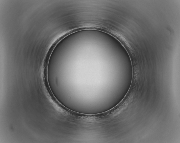 X0000115250991200911131721