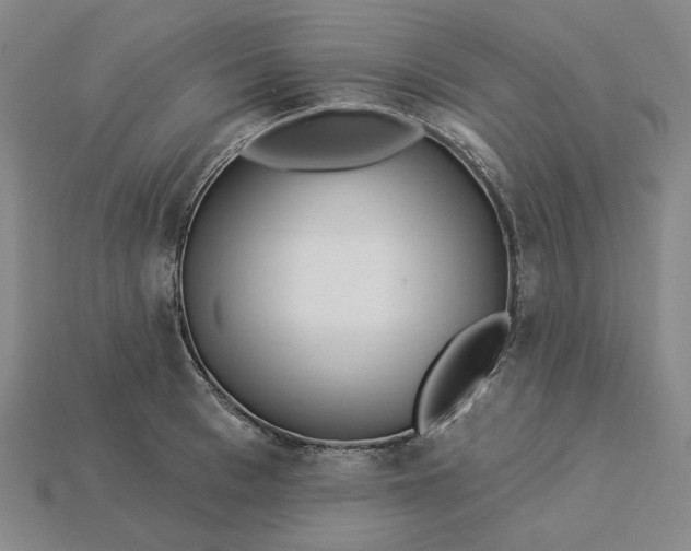 X0000115250993200911131721