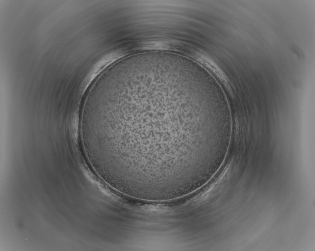 X0000115250994200911131721